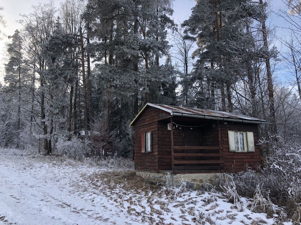Efektívne riadenie kapitálu a likvidity pre rast a stabilitu podniku