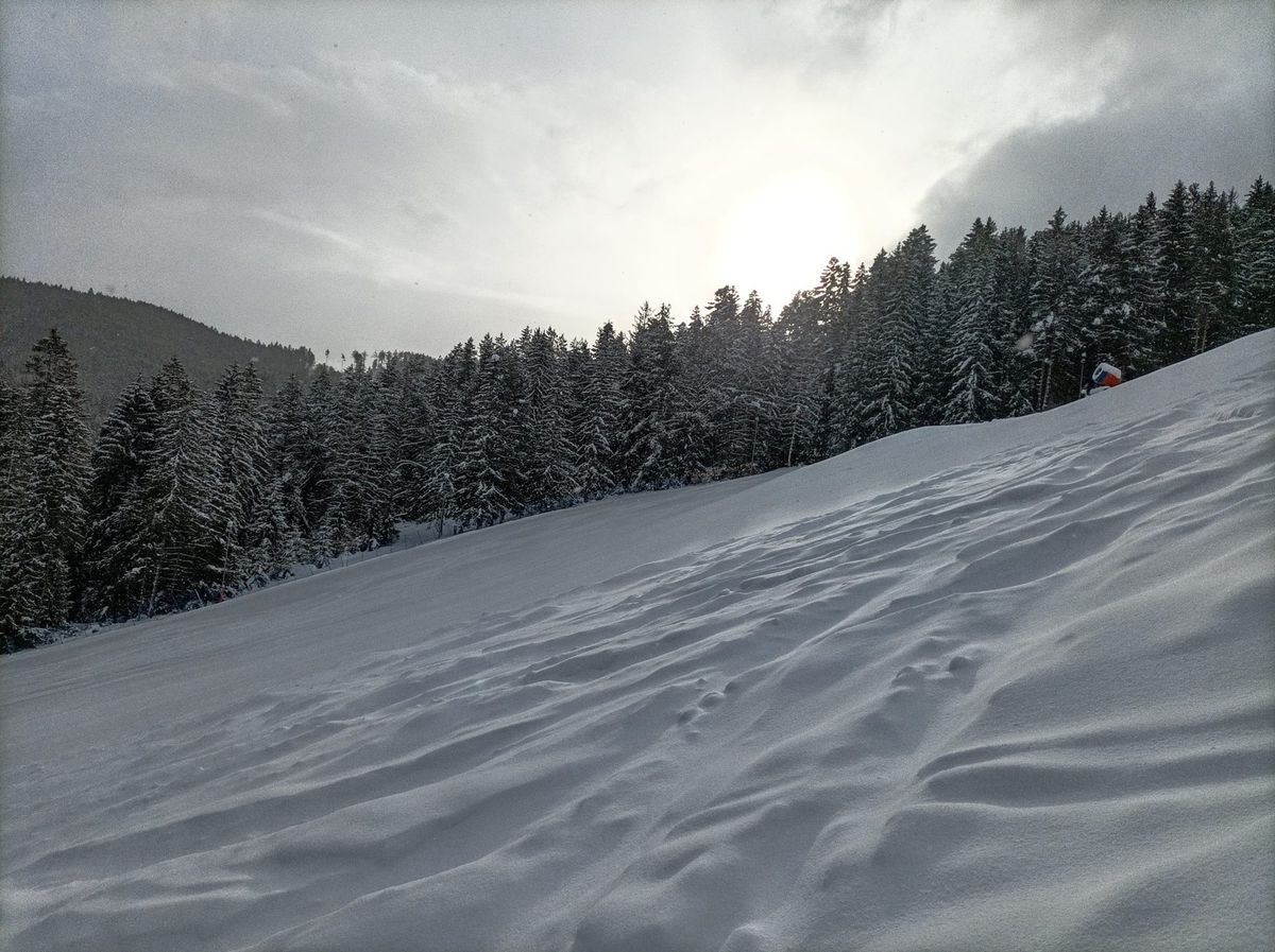 Vybavenosť domácností ako ukazovateľ spotrebiteľských trendov