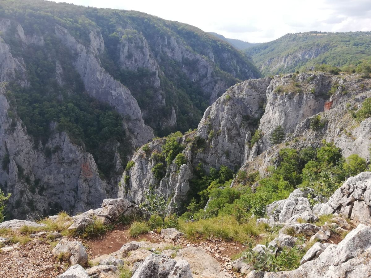 Ako efektívne budovať dôveru a kredibilitu značky