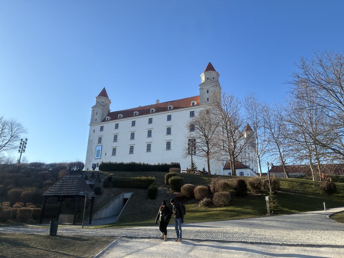Typy aliančných a medzinárodných stratégií pre podniky